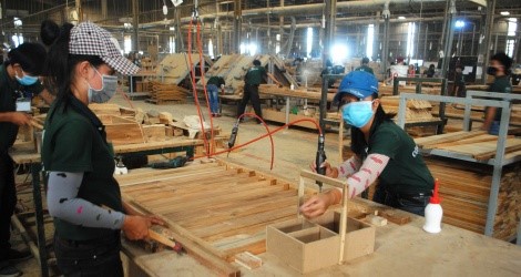 Xây dựng khung khổ pháp luật về đấu thầu "gỗ hợp pháp" (kỳ 1)