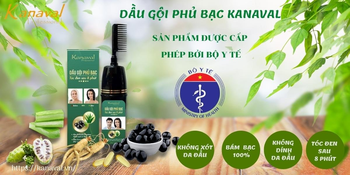 GIẢI PHÁP “TRẺ HÓA” VỚI DẦU GỘI PHỦ BẠC KANAVAL