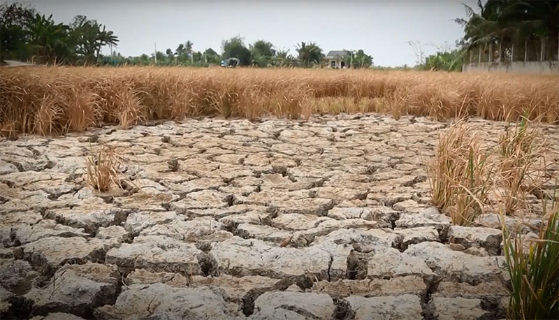 Lồng ghép nội dung phòng, chống thiên tai vào quy hoạch, kế hoạch phát triển ngành, kinh tế - xã hội