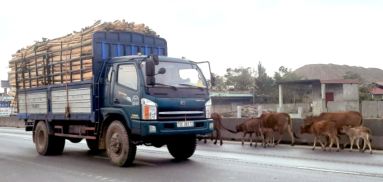 Vai trò của pháp luật trong việc bảo đảm trật tự, an toàn giao thông đường bộ ở Việt Nam hiện nay