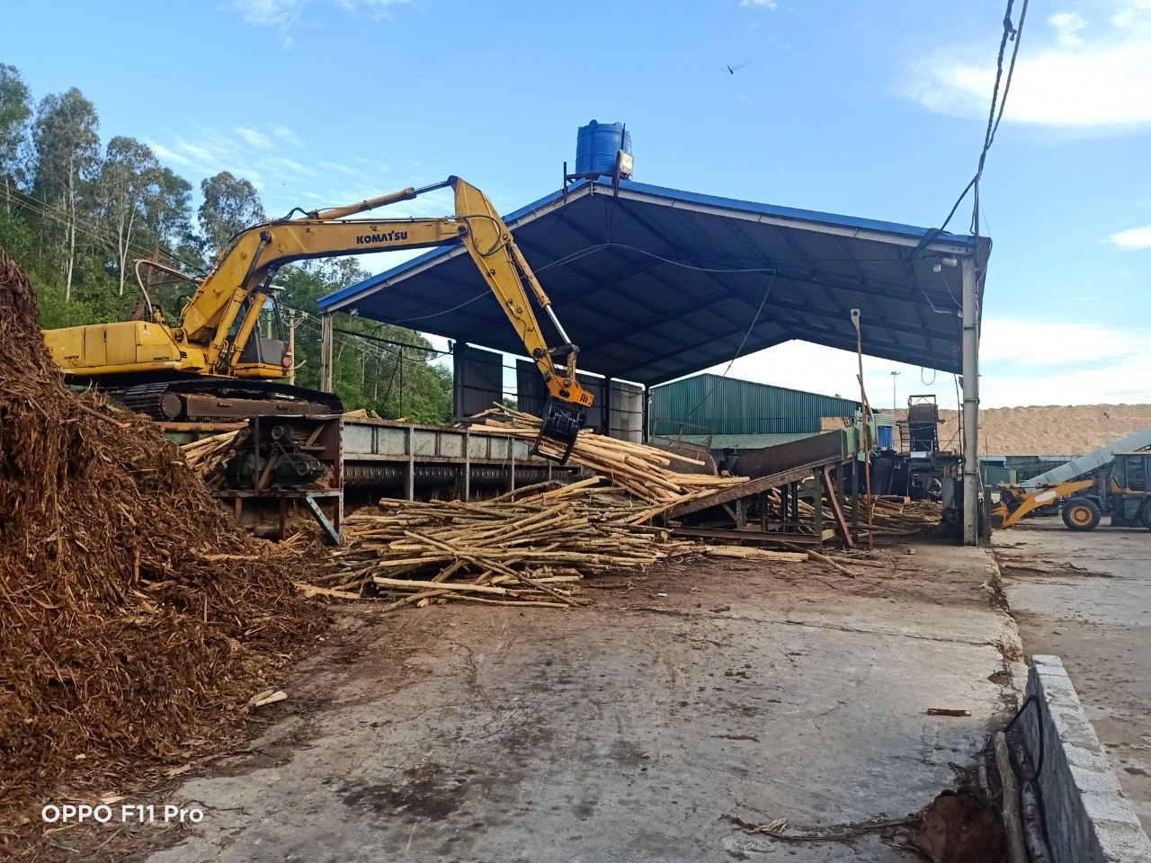 Nghi Sơn - Thanh Hoá: Vì sao các cơ sở chế biến gỗ dăm tại Cảng PTSC vẫn ngang nhiên hoạt động (Kỳ 2)?