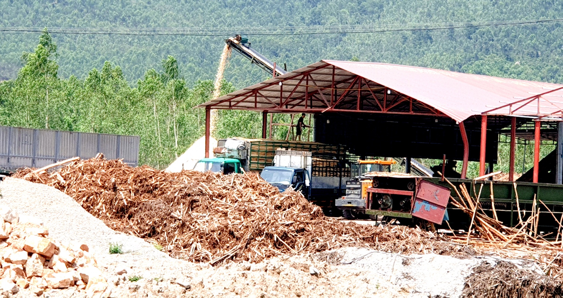 TX. Nghi Sơn - Thanh Hóa: Không thể vì mục tiêu kinh tế mà bỏ quên việc gìn giữ môi trường