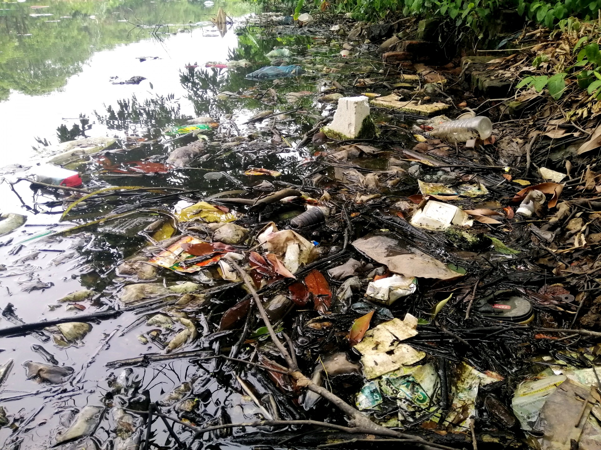 Ninh Giang - Hải Dương: Rõ ràng là có sự “Buông lỏng”, sao chưa xử lý?