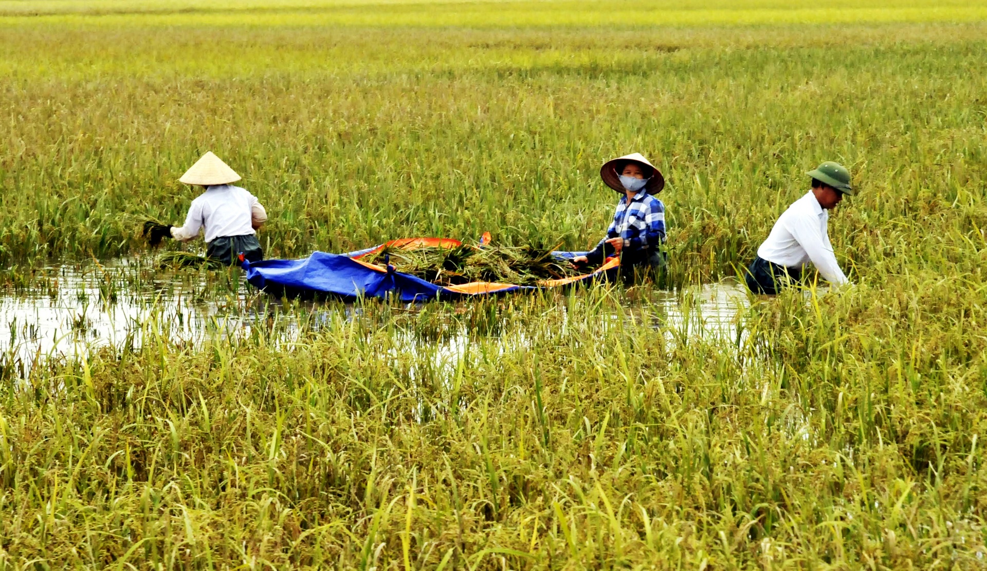 Tăng cường công tác phòng, chống bão lụt để giảm thiểu thiệt hại