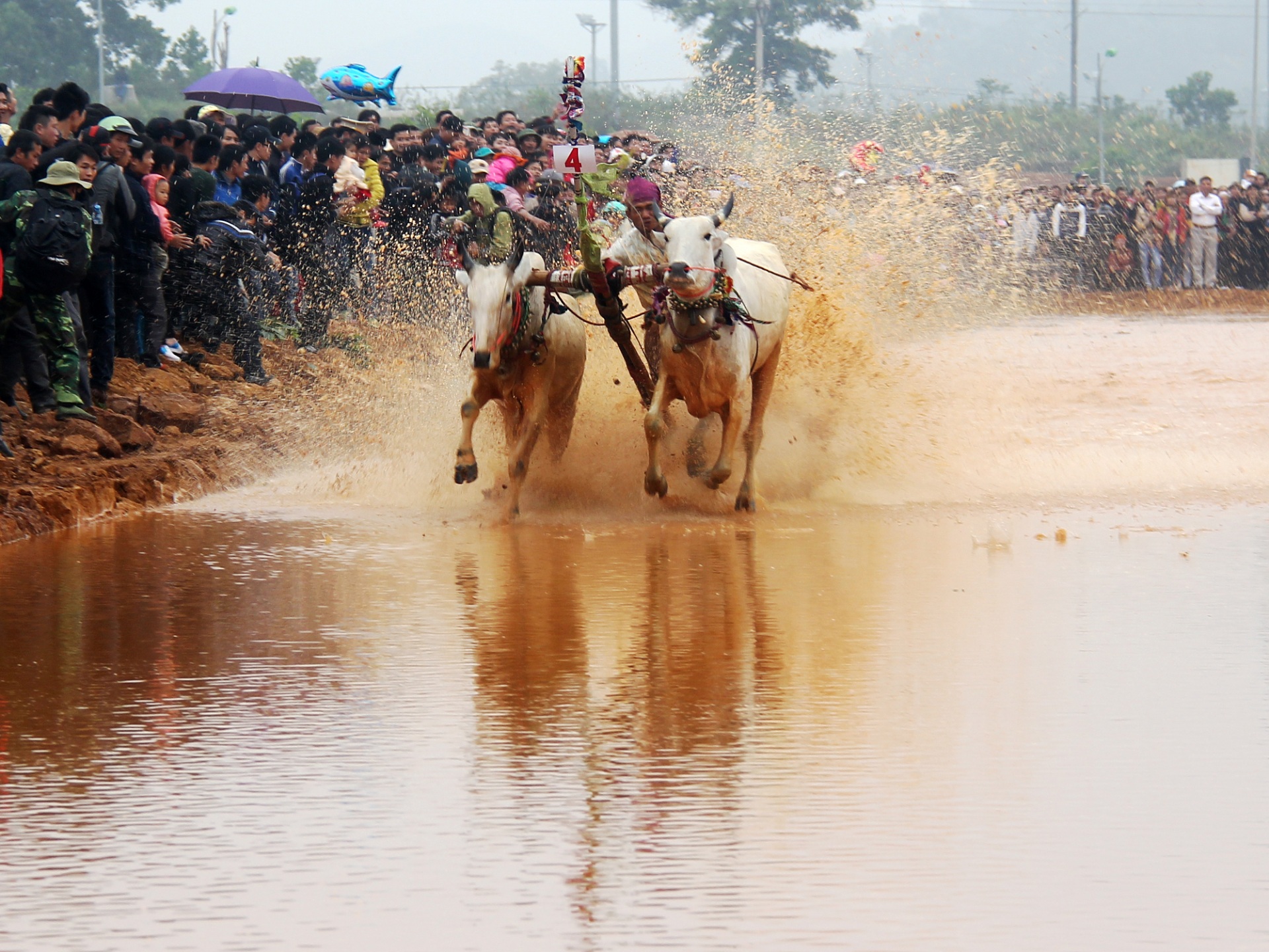 Cùng suy ngẫm