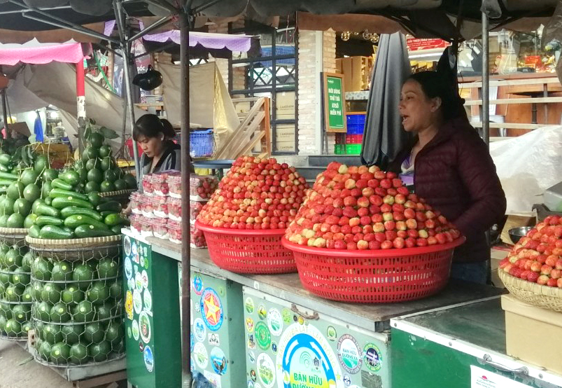 Hạn chế sử dụng các loại thuốc bảo vệ thực vật có hàm lượng hóa học cao