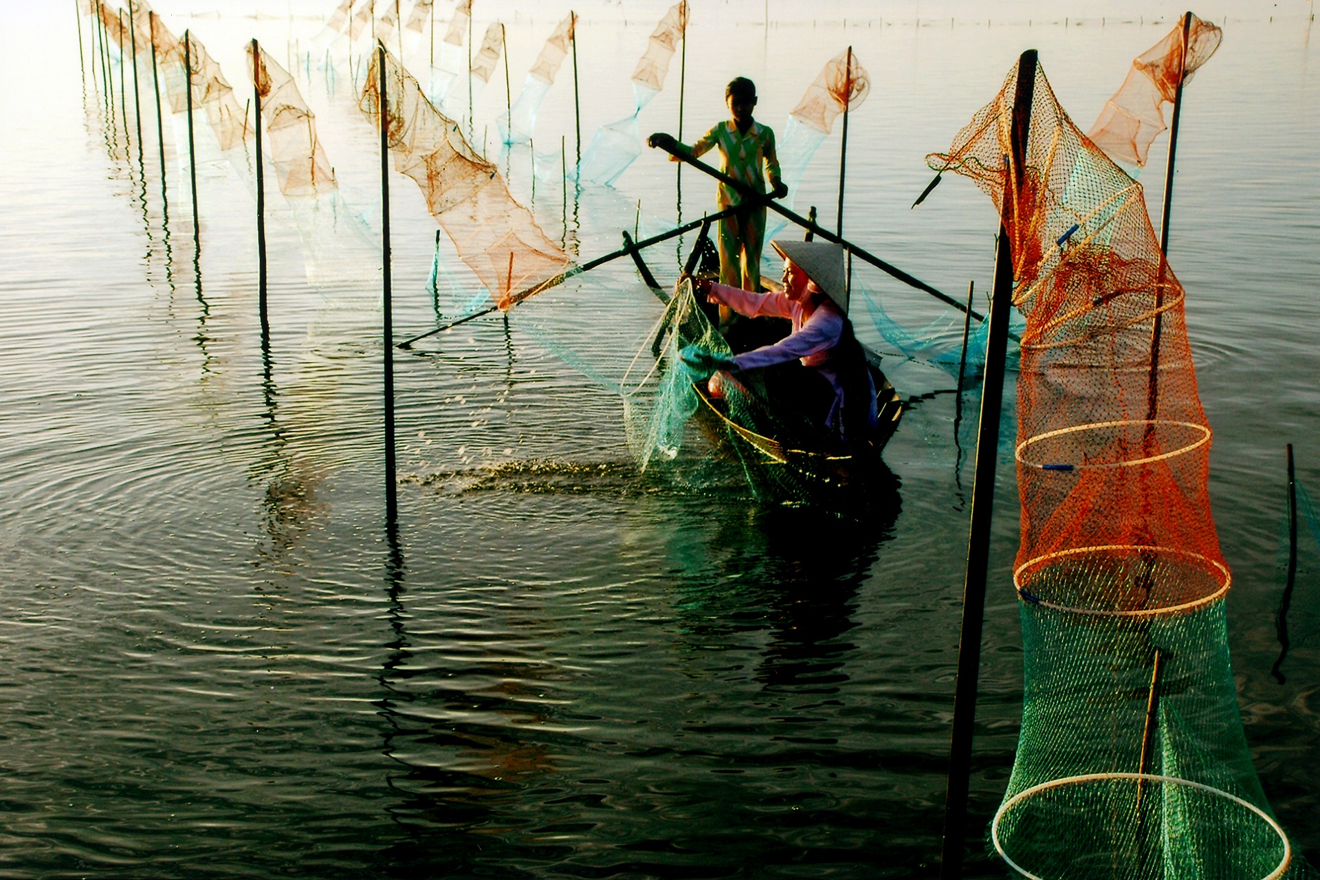 Cuộc sống trên Đầm Bà Tường