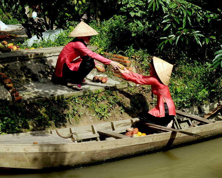 Kinh tế vườn ở Bến Tre khai thác thêm hoạt động du lịch