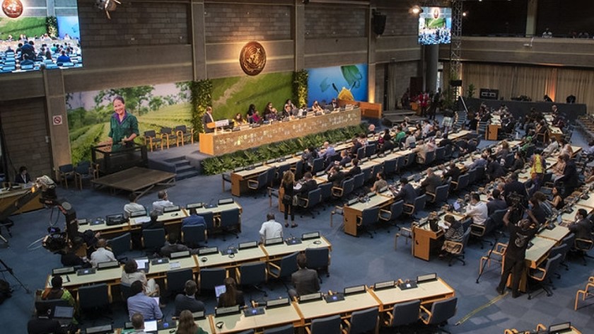 Nhiều nghị quyết nhằm bảo vệ và phục hồi thiên nhiên được thông qua tại kỳ họp thứ 5 của UNEA