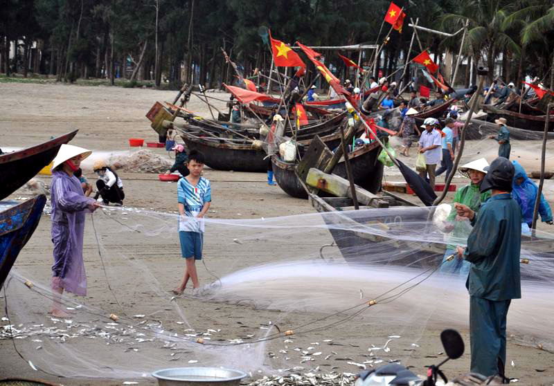 Ngư dân Sầm Sơn thành lập nhiều tổ đoàn kết vươn khơi đêm - Vừa lại hiệu quả kinh tế cao  vừa góp phần bảo vệ chủ quyền biển đảo quê hương