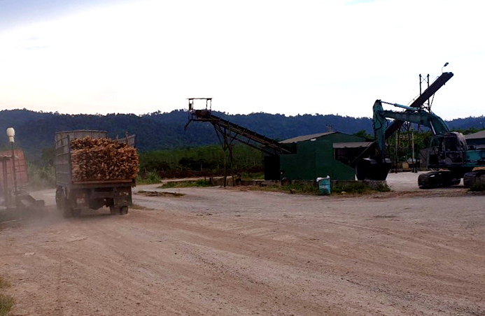 Như Xuân - Thanh Hóa: Chủ tích UBND xã Xuân Hòa cho biết "Nhà máy sản xuất dăm gỗ Thanh Thành Đạt hoạt động trên khu đất rừng trồng cây là chưa được chuyển đổi mục đích sử dụng đất"(?)