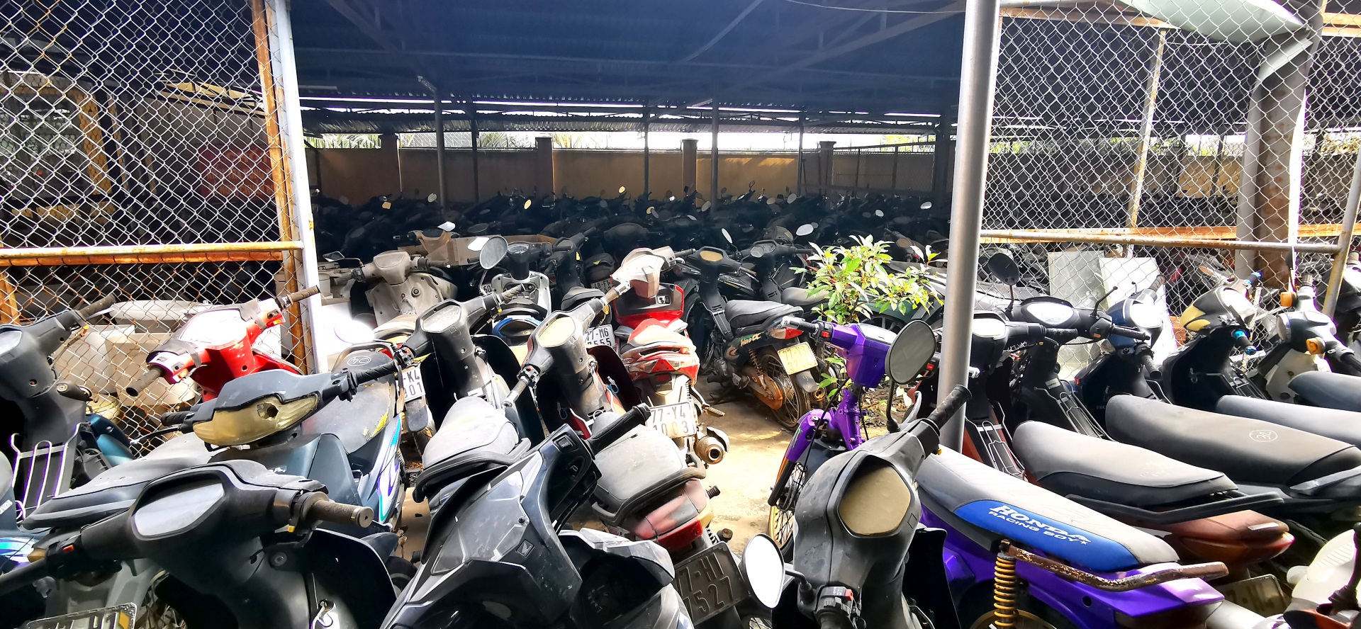Trạm CSGT Tuy Phước - Bình Định: Giải pháp nào để bãi chứa xe vi phạm không bị quá tải?