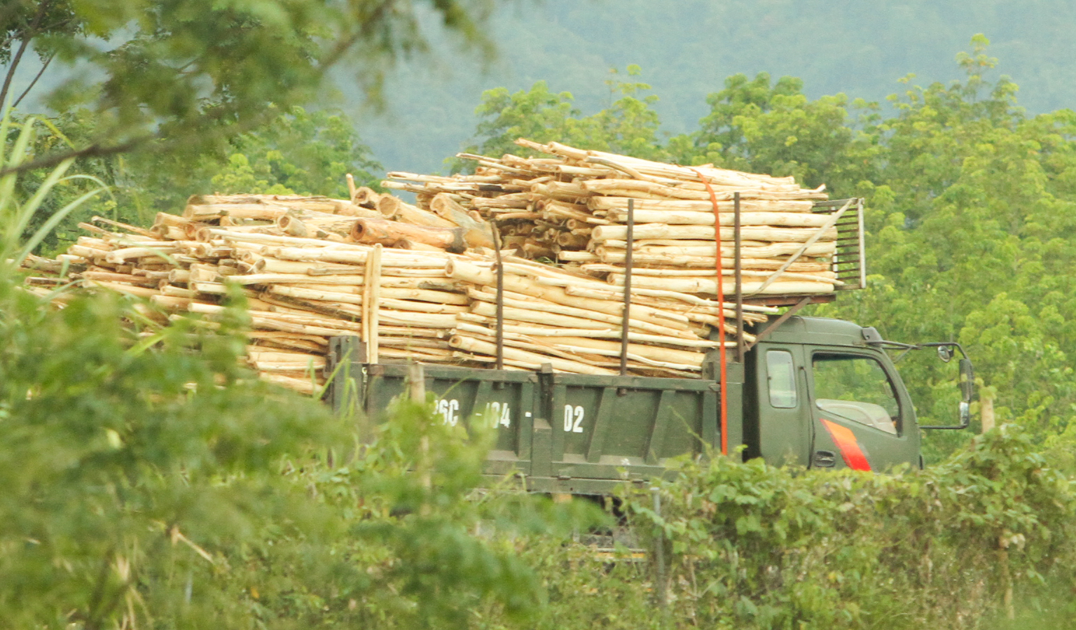 Chủ tịch UBND xã Xuân Hòa cho biết “Nhà máy sản xuất dăm gỗ Thanh Thành Đạt hoạt động trên khu đất rừng trồng cây là chưa được chuyển đổi mục đích sử dụng đất”(?) (Kỳ 3)